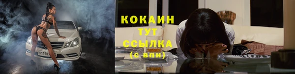 мяу мяу мука Корсаков