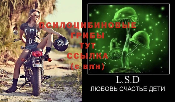 мяу мяу мука Корсаков