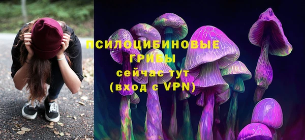 мяу мяу мука Корсаков